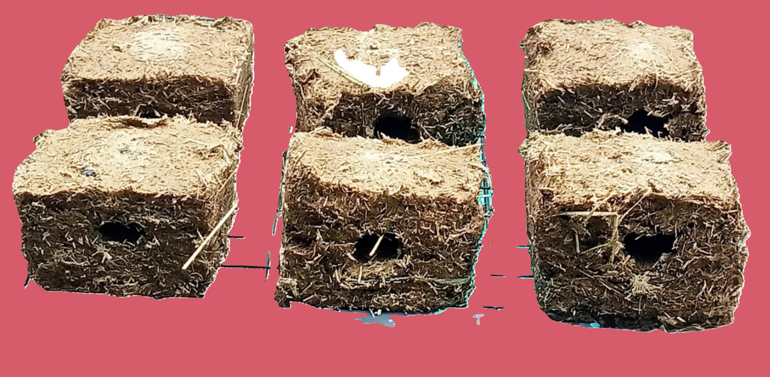 Drying Briquettes